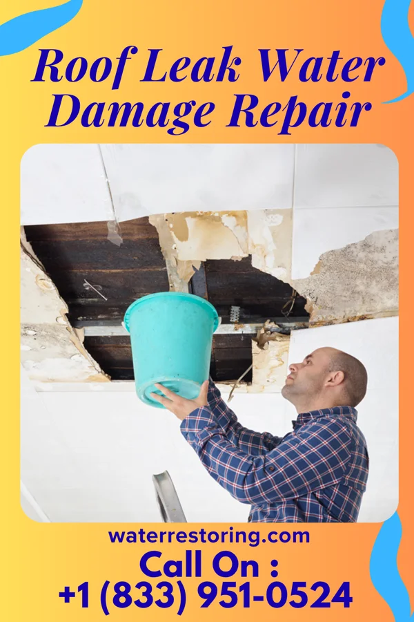 Roof Leak Water Damage Repair in Helena, MS