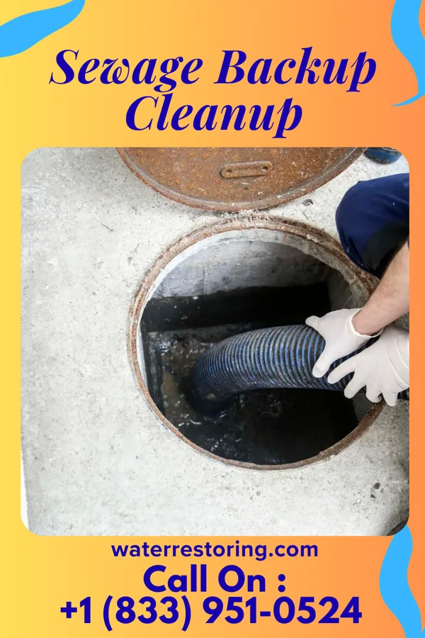 Sewage Backup Cleanup in Helena, MS